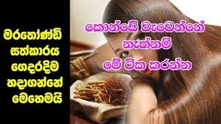 කොන්ඩේ වැවෙන්නේ නැත්නම් මේ ටික කරන්න