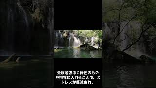 【革命的勉強法】机周りを緑で囲むだけで成績アップ!? 科学が証明した緑の力！