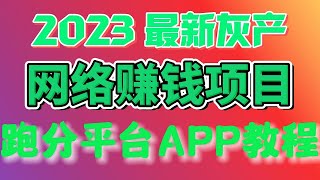 2024灰产项目|网赚 |网络赚钱 |毫无风险，教你十分钟就可以赚到1000。灰产 跑分 跑货 真实演示（真实网站测试）