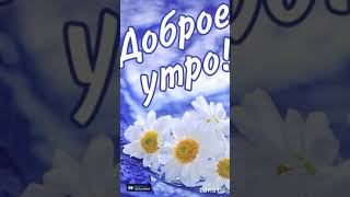 Доброе утро! Желаю солнышка в душе и неба нежно-голубого!🥰