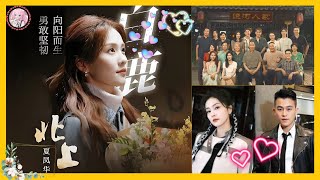 白鹿能否一雪前耻？《北上》对决杨紫，谁才是真正的年代剧女王？#Bailu