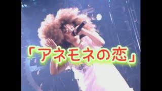 「アネモネの恋」歌詞付き　JUDY AND MARY　THE POWER STADIUM DESTROY'97