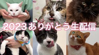 ☆2023年末ありがとう生配信　～稲垣れいちゃん登場～獣医師が動物の質問に出来る限り応えます～☆