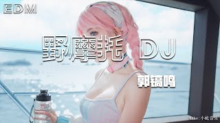 郭镐鸣 野摩托Dj阿卓版）🎧抖音热门歌曲 🎧 EDM 中文歌曲 华语 Music🎧抖音热门歌曲 🎧 EDM 中文歌曲 华语 Music