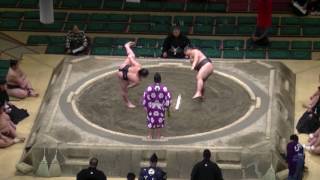 琴宏梅-一木/大相撲.2017.1.15(18)/kotokobai-ichiki/day8 #sumo