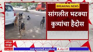 Sangli Dog Attack News : सांगलीत भटक्या कुत्र्यांचा हैदोस; 4 वर्षांच्या चिमुकलीवर हल्ला ABP Majha