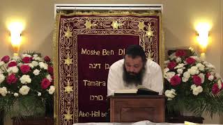 Kriyat Shema at Night - Rav Yosef Khiyayev 5780