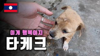 27. 날씨 최고! 길도 최고! 풍경 최고! '타켁 루프' 마지막! (타케크) [라오스]