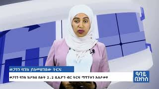 ወጋገን ባንክ 31ኛ መደበኛ እና 15ኛ አስቸኳይ የባለአክሲዮኖች ጠቅላላ ጉባዔ ማካሄዱን አስመልክቶ የአባይ ቴሌቪዥን ዜና ሽፋን