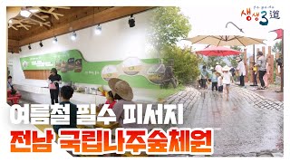 올여름엔 숲캉스 🌲전남 국립나주숲체원🏞️｜230818 생생3도