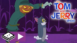 The Tom and Jerry Show | Scarecrow Vs Tom | Boomerang UK 🇬🇧