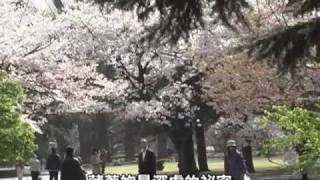 挪威的森林MV_x264.mp4