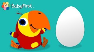 Egg | what is it | Vocabularry | BabyFirst TV