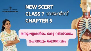 NEW SCERT 🔥 CLASS 7 🔥 CHAPTER 5 🔥 മനുഷ്യശരീരം ഒരു വിസ്മയം ദഹനവും ശ്വസനവും🔥 FOR ALL PSC EXAMS