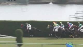 2008年11月2日 京都4R 障害未勝利 バンブートヨタ