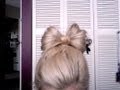 How To: Gaga Hair Bow