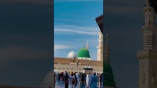 Roza rasool #love #beautiful #khanakabalive #madina #prophetmuhammad #ilovemadinasharif #viralvideo