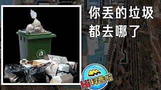 科普：分类好的垃圾都去哪了？【Hi科普啦】