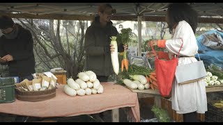 京都市観光PR映像_ショート動画③「京都観光モラル」