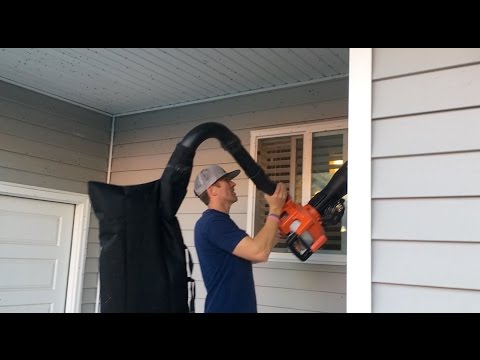 Our house is infested with flies!!! Our house is infested with flies!!!