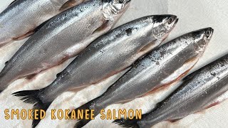 Best Smoked Kokanee Salmon Recipe