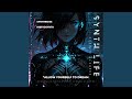 Synthetic Echo