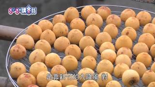 No 002 1006【gogo講客話】美食篇 九降風起柿子紅