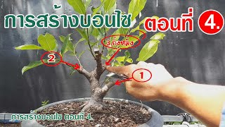 การสร้างบอนไซ ตอนที่ 4 How to make bonsai Ep4