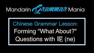 Chinese Grammar for Beginners:  Forming "What About?" Questions with 呢 (ne)