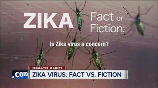 Zika Virus: Fact or Fiction