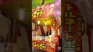 紅葉狩り　岐阜県美濃市　大矢田の紅葉谷