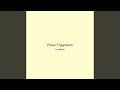 Pulse Fragments