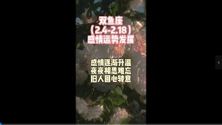 双鱼座（2.4-2.18）感情运势发展，感情逐渐升温，夜夜相思难忘，旧人回心转意。#星座 #爱情 #情感塔罗 #前任