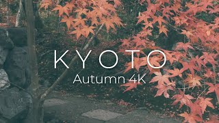 Kyoto - Autumn 紅葉 - Cinematic Short - 4K