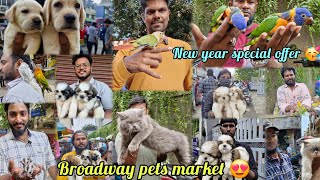 Sunday Broadway Pets Market | Opening time 5:00am to 12:00pm / biggest pets market in the world 🌎🌍🌎