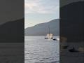 Jet ski rider reportedly slammed into a gray whale near Stanley Park in Vancouver, British Columbia