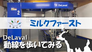 【えみんぐ】牛目線になって歩いてみたよ！DeLavalデラバル／ミルクファーストの牛舎(Dairy Farm/VMS V300)