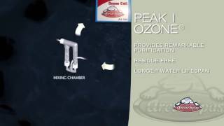 Peak I Ozone Water Purification   Arctic Spas