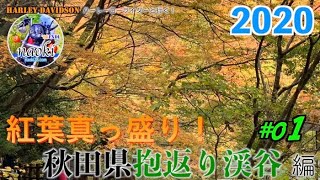 【FXDL】紅葉真っ盛り！秋田県抱返り渓谷へ編 01 [ローライダー][ハーレー]