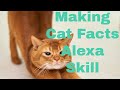 Making a basic Amazon Alexa Skill tell me cat facts with Node.js