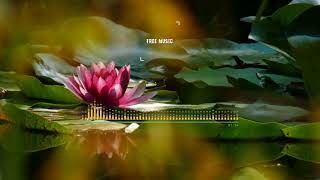Lotus - Ason ID | [No Copyright Music]