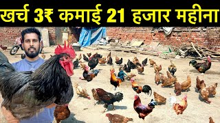 Poultry farm business plan india॥Small poultry farm business plan॥desi murgi palan