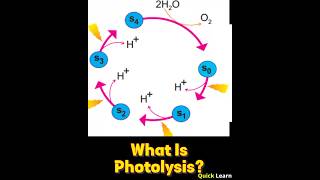 What Is Photolysis? | Quick Learn #biology