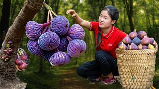 Harvesting Juicy Purple VA – Goes Market to Sell Fresh |Fruits and Vegetables | Jolie DailyLife