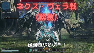 [PSO2:NGS]経験値が明らかに多い！ネクス・ヴェラ戦(緊急)に行く！[緊急クエスト攻略]