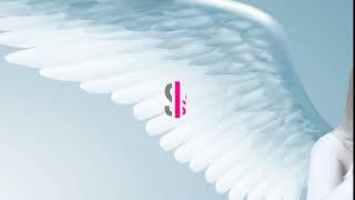 Angel By The Wings - SIA Dual Letra - lyrics/Letras PT/IGL