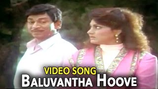 Aakasmika–Kannada Movie Songs | Baaluvantha Hoove Video Song | Rajkumar | VEGA