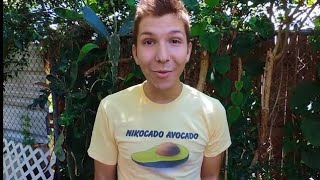 A Timelapse of Nikocado Avocado 's Tragic Transformation