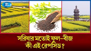 সরিষার চাচাতো কিংবা মামাতো ভাই বলা হয় যে উদ্ভীদকে | Rapeseed | Rtv News