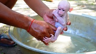 Alien monkey Aroy got cleaning by daddy with natural water